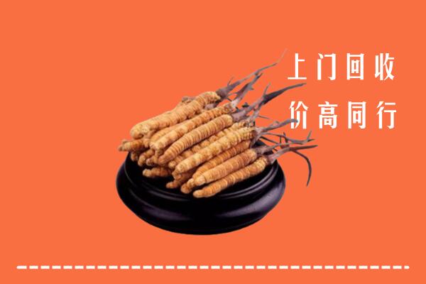 高价求购：恩施回收散虫草
