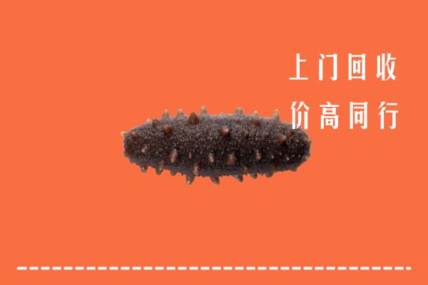 高价求购：恩施回收海参